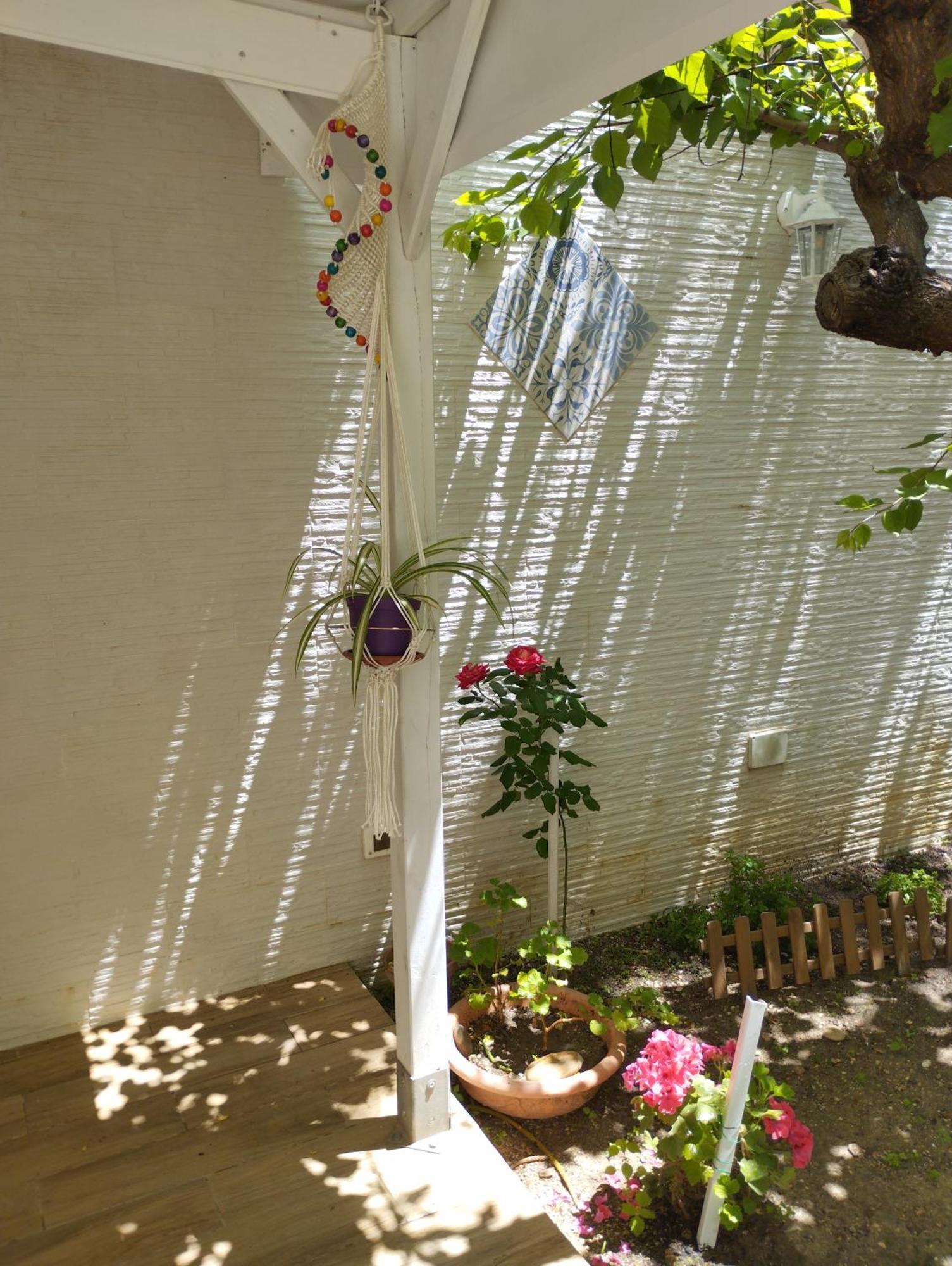 Casa Vacanze Nonna Lina - ตราปานี ภายนอก รูปภาพ